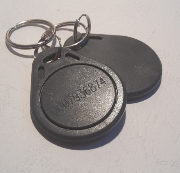 Kontrola vstupu RFID BES bezdotykový elektronický čip klíčenka 13.56 MHz, kovový kroužek, barva šedá